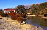 小石川植物園画像2