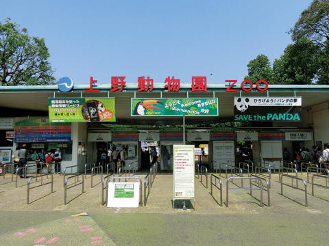 上野動物園写真