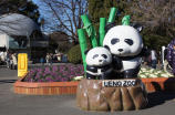 上野動物園画像3