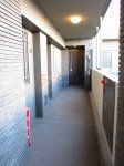 廊下　サンアリーナ文京小石川