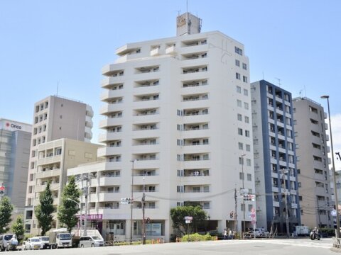 護国寺ロイアルハイツ 2F画像