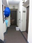 共用部廊下　グリーンハウス