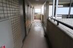 建物共用部　日興ロイヤルパレス白山