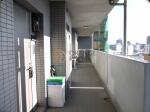 ロイヤルタワー春日　各階廊下