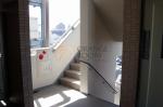 ガーデンコート小石川　階段