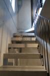 共用部階段　MI MAISON 文京白山