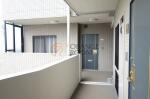 各階廊下　藤和シティホームズ小石川