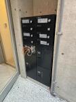 メールボックス　EDIT文京護国寺