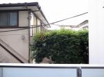 同建物参考写真