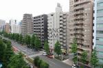 眺望　ヴェルデール白山