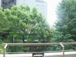 眺望イメージ　小石川ハイム