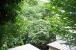 眺望　ブランコート文京竹早