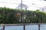 眺望イメージ　エスティメゾン千石