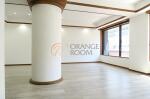 LD　白山ミノール