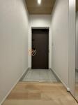 玄関　グリーンテラス本駒込