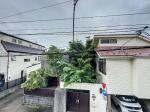 眺望　Ark Cassia