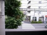 同建物参考写真